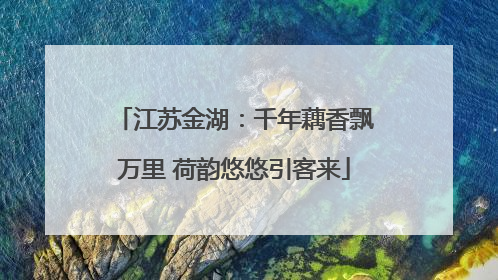 江苏金湖：千年藕香飘万里 荷韵悠悠引客来